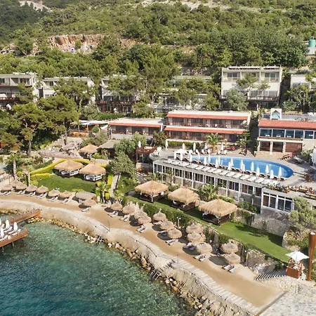 Sarpedor Boutique And 酒店 4*