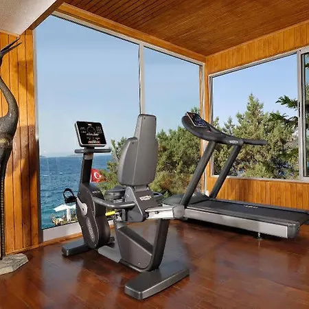 Sarpedor Boutique And 호텔